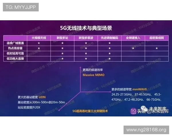 永利高：全面解析其发展历程与未来趋势